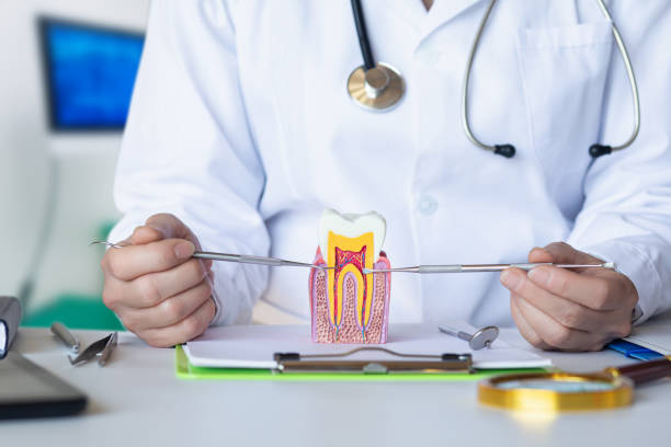 Best Emergency Wisdom Teeth Removal in Shady Point, OK